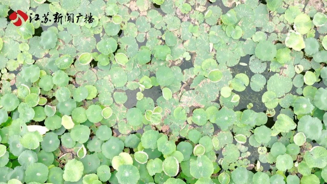 DƬ